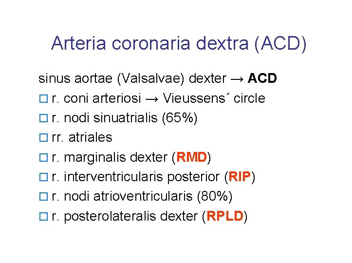 Arteria coronaria dextra (ACD) sinus aortae (Valsalvae) dexter → ACD o r. coni arteriosi