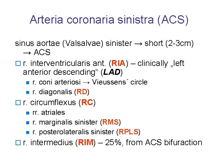 Arteria coronaria sinistra (ACS) sinus aortae (Valsalvae) sinister → short (2 -3 cm) →
