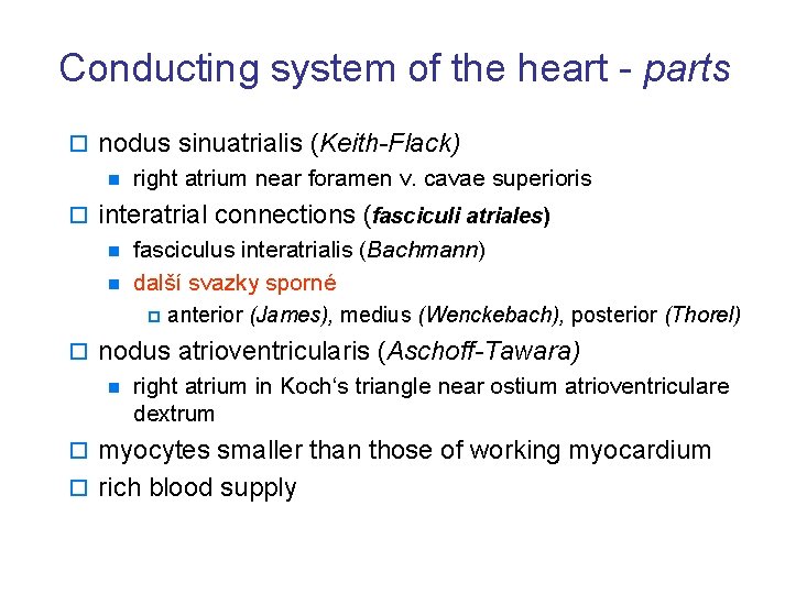 Conducting system of the heart - parts o nodus sinuatrialis (Keith-Flack) n right atrium