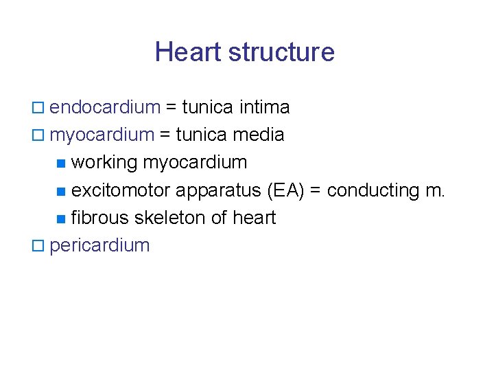 Heart structure o endocardium = tunica intima o myocardium = tunica media working myocardium