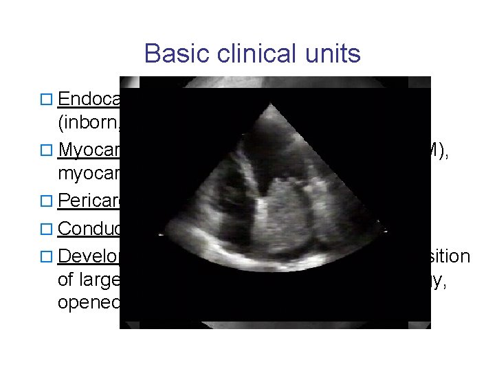 Basic clinical units o Endocardium: endocarditis, valvular defects (inborn, acquired) o Myocardium: ischmeic heart