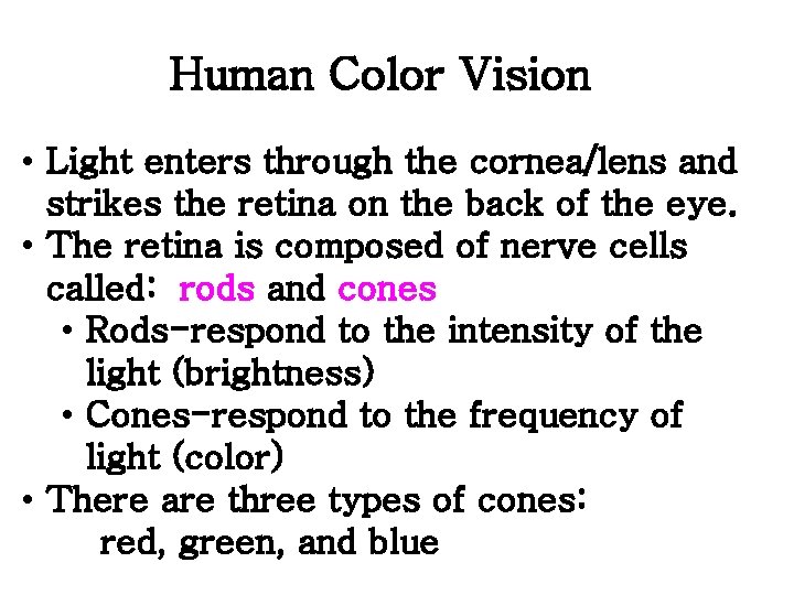 Human Color Vision • Light enters through the cornea/lens and strikes the retina on