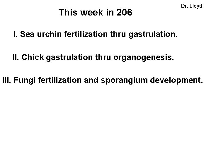 This week in 206 Dr. Lloyd I. Sea urchin fertilization thru gastrulation. II. Chick