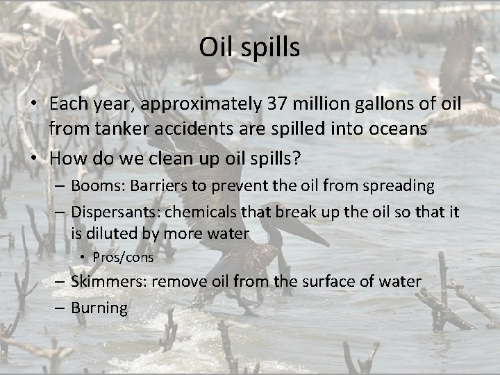 Oil spills • Each year, approximately 37 million gallons of oil from tanker accidents