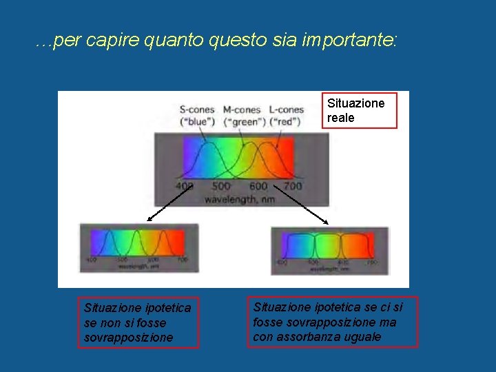 …per capire quanto questo sia importante: Situazione reale Situazione ipotetica se non si fosse