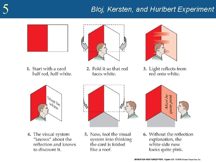 5 Bloj, Kersten, and Hurlbert Experiment 