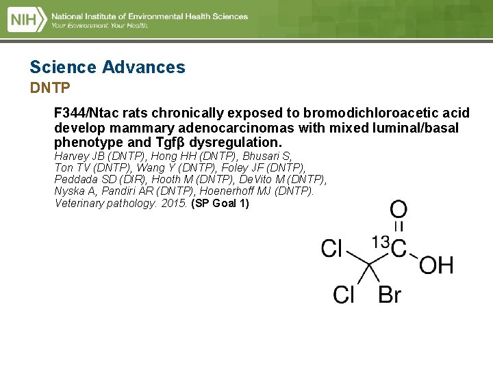Science Advances DNTP F 344/Ntac rats chronically exposed to bromodichloroacetic acid develop mammary adenocarcinomas Science Advances DNTP F 344/Ntac rats chronically exposed to bromodichloroacetic acid develop mammary adenocarcinomas
