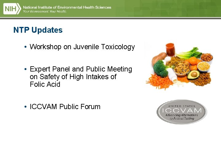 NTP Updates • Workshop on Juvenile Toxicology • Expert Panel and Public Meeting on NTP Updates • Workshop on Juvenile Toxicology • Expert Panel and Public Meeting on