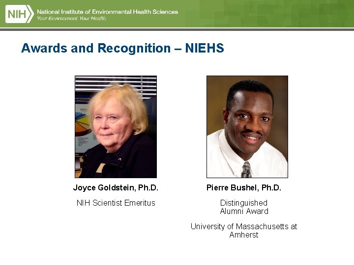Awards and Recognition – NIEHS Joyce Goldstein, Ph. D. Pierre Bushel, Ph. D. NIH Awards and Recognition – NIEHS Joyce Goldstein, Ph. D. Pierre Bushel, Ph. D. NIH