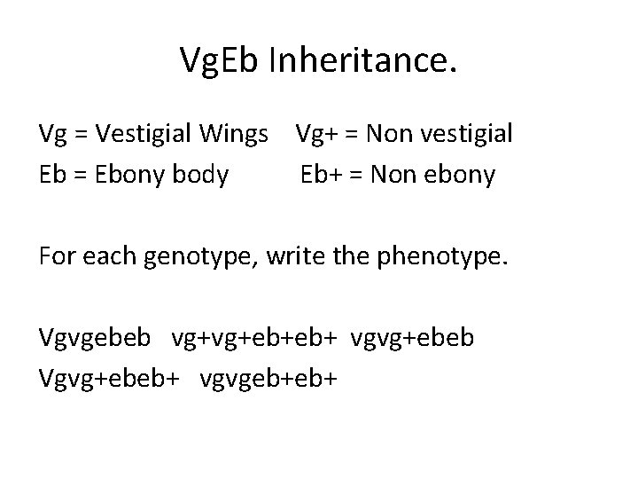 Vg. Eb Inheritance. Vg = Vestigial Wings Vg+ = Non vestigial Eb = Ebony