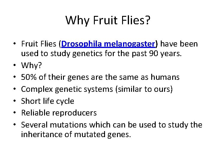 Why Fruit Flies? • Fruit Flies (Drosophila melanogaster) have been used to study genetics