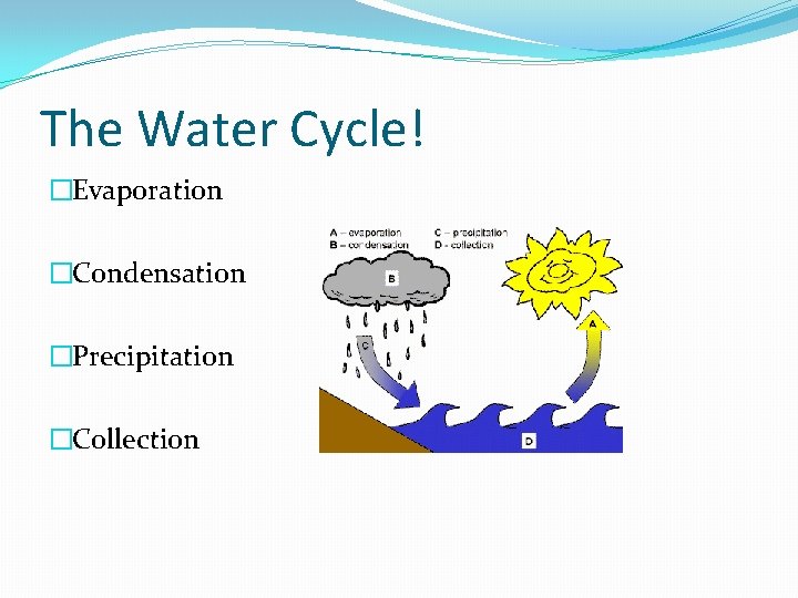 The Water Cycle! �Evaporation �Condensation �Precipitation �Collection 