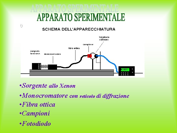  • Sorgente allo Xenon • Monocromatore con reticolo di diffrazione • Fibra ottica