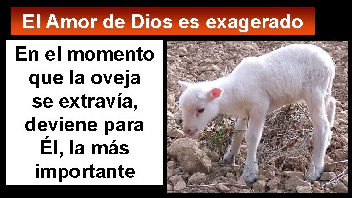 El Amor de Dios es exagerado En el momento que la oveja se extravía,