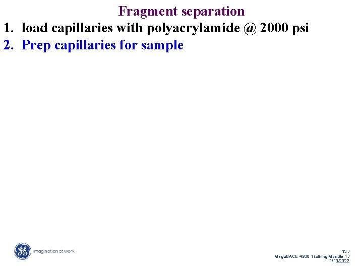 Fragment separation 1. load capillaries with polyacrylamide @ 2000 psi 2. Prep capillaries for