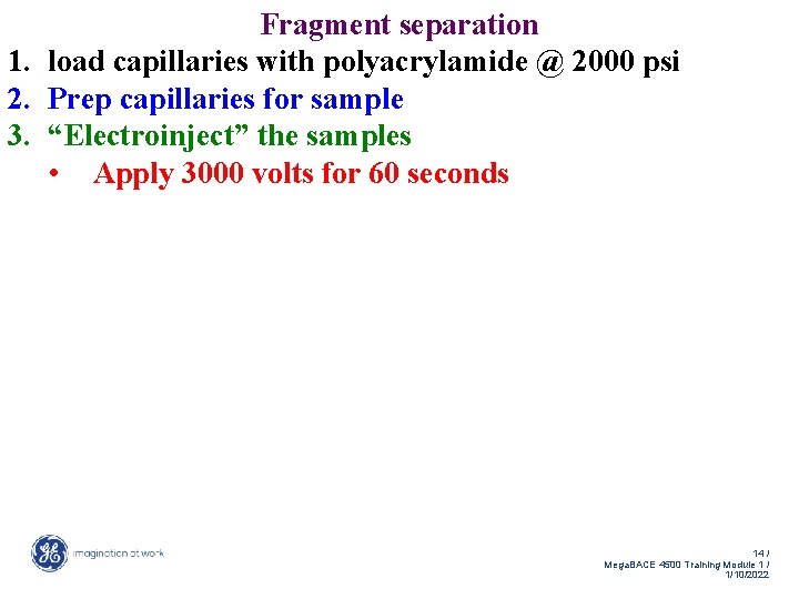 Fragment separation 1. load capillaries with polyacrylamide @ 2000 psi 2. Prep capillaries for