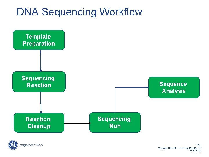 DNA Sequencing Workflow Template Preparation Sequencing Reaction Cleanup Sequence Analysis Sequencing Run 22 /