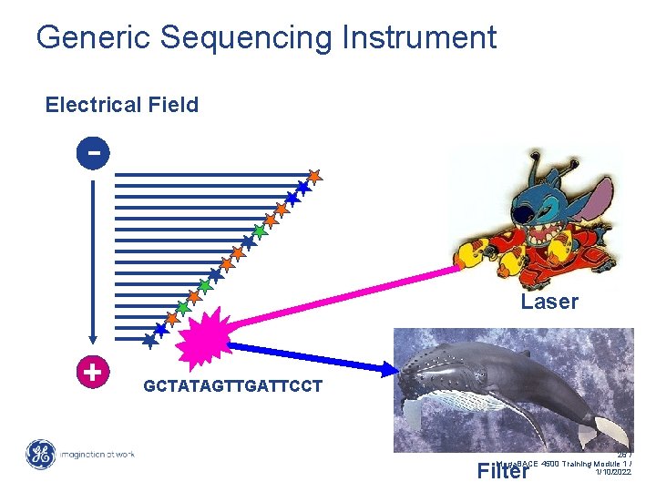Generic Sequencing Instrument Electrical Field - Laser + GCTATAGTTGATTCCT 26 / Mega. BACE 4500