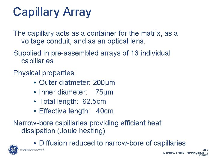 Capillary Array The capillary acts as a container for the matrix, as a voltage