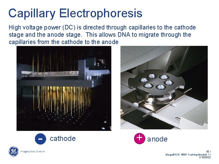 Capillary Electrophoresis High voltage power (DC) is directed through capillaries to the cathode stage