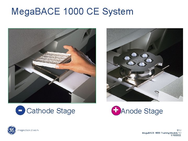 Mega. BACE 1000 CE System - Cathode Stage + Anode Stage 31 / Mega.
