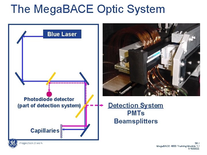 The Mega. BACE Optic System Blue Laser Photodiode detector (part of detection system) Detection
