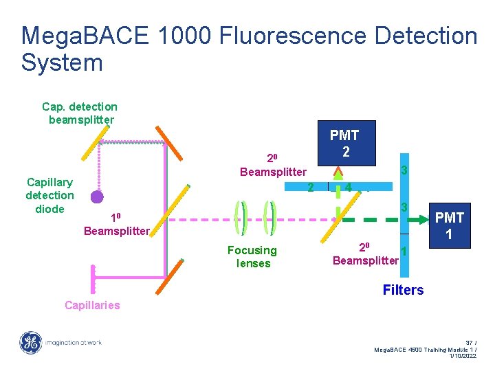 Mega. BACE 1000 Fluorescence Detection System Cap. detection beamsplitter Capillary detection diode PMT 2