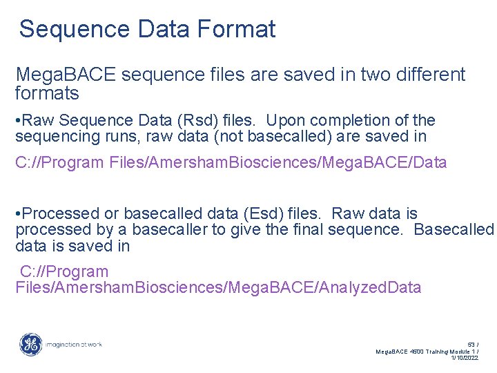 Sequence Data Format Mega. BACE sequence files are saved in two different formats •
