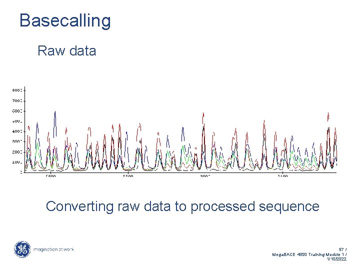 Basecalling Raw data Converting raw data to processed sequence 57 / Mega. BACE 4500