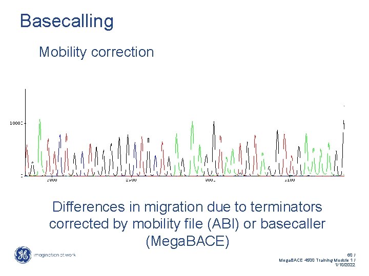 Basecalling Mobility correction Differences in migration due to terminators corrected by mobility file (ABI)