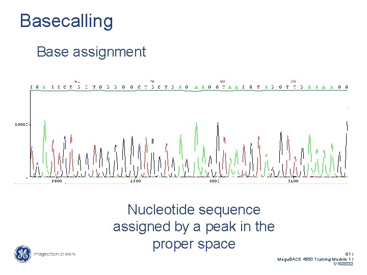 Basecalling Base assignment Nucleotide sequence assigned by a peak in the proper space 61