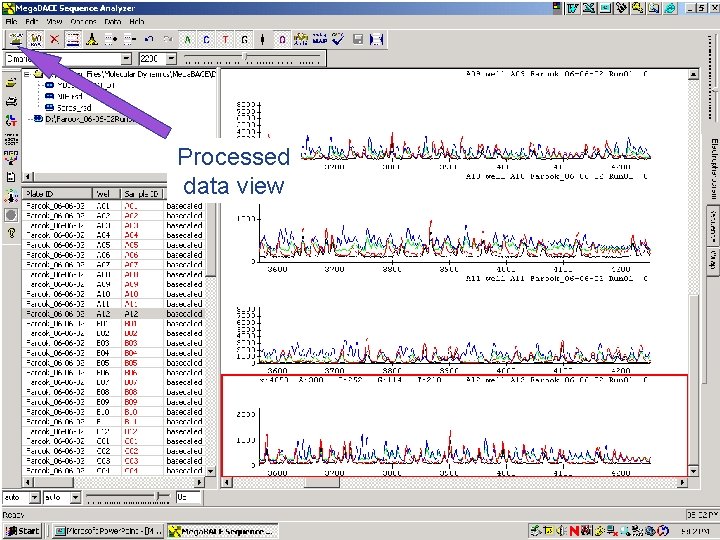 Processed data view 63 / Mega. BACE 4500 Training Module 1 / 1/10/2022 