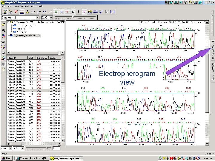 Electropherogram view 64 / Mega. BACE 4500 Training Module 1 / 1/10/2022 