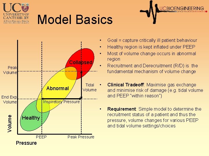 Model Basics • • • Collapsed Peak Volume Abnormal End Exp. Volume • Tidal