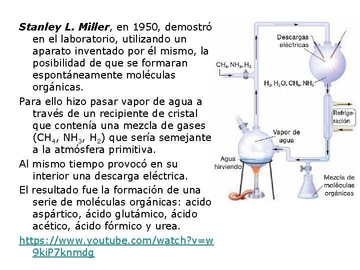 Stanley L. Miller, en 1950, demostró en el laboratorio, utilizando un aparato inventado por