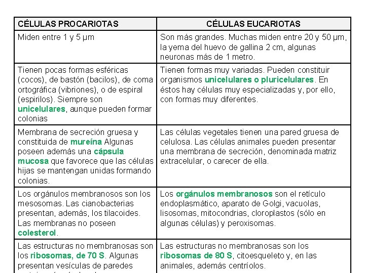 CÉLULAS PROCARIOTAS CÉLULAS EUCARIOTAS Miden entre 1 y 5 µm Son más grandes. Muchas