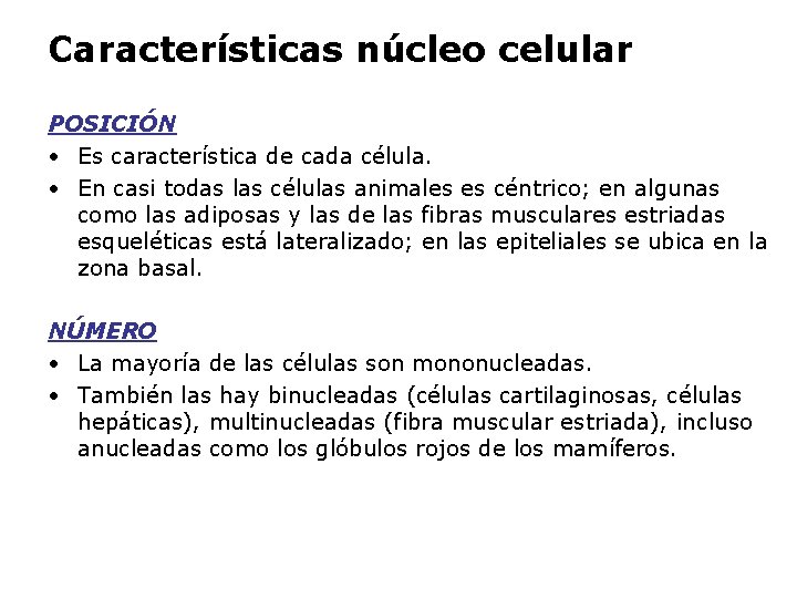 Características núcleo celular POSICIÓN • Es característica de cada célula. • En casi todas