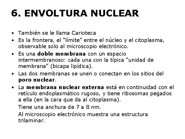 6. ENVOLTURA NUCLEAR • También se le llama Carioteca • Es la frontera, el