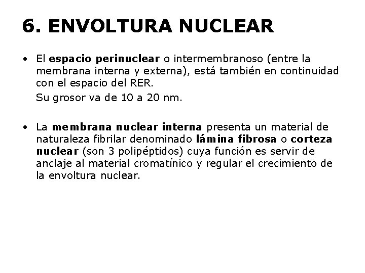 6. ENVOLTURA NUCLEAR • El espacio perinuclear o intermembranoso (entre la membrana interna y