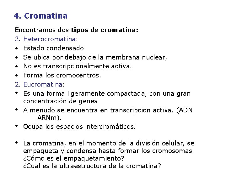 4. Cromatina Encontramos dos tipos de cromatina: 2. Heterocromatina: • Estado condensado • Se