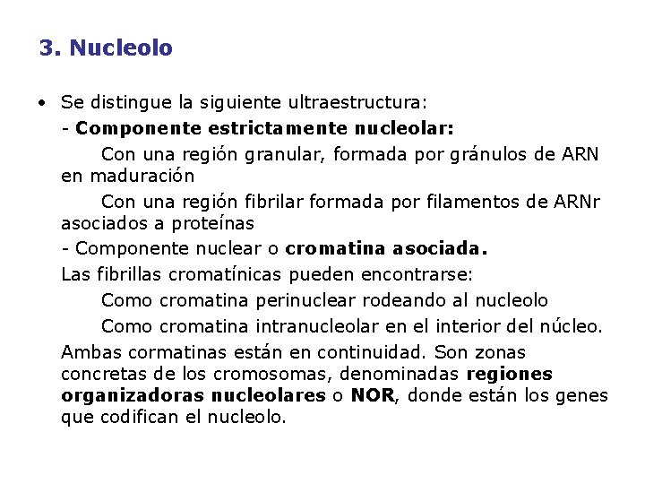 3. Nucleolo • Se distingue la siguiente ultraestructura: - Componente estrictamente nucleolar: Con una