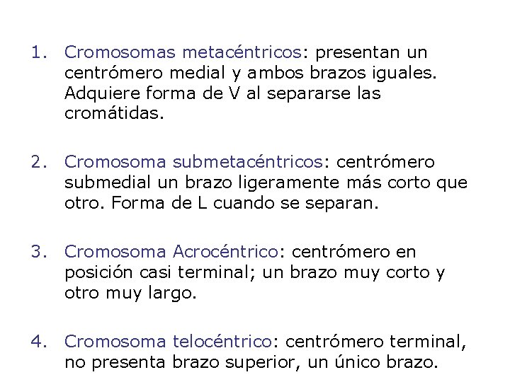 1. Cromosomas metacéntricos: presentan un centrómero medial y ambos brazos iguales. Adquiere forma de