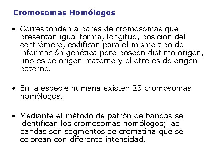 Cromosomas Homólogos • Corresponden a pares de cromosomas que presentan igual forma, longitud, posición