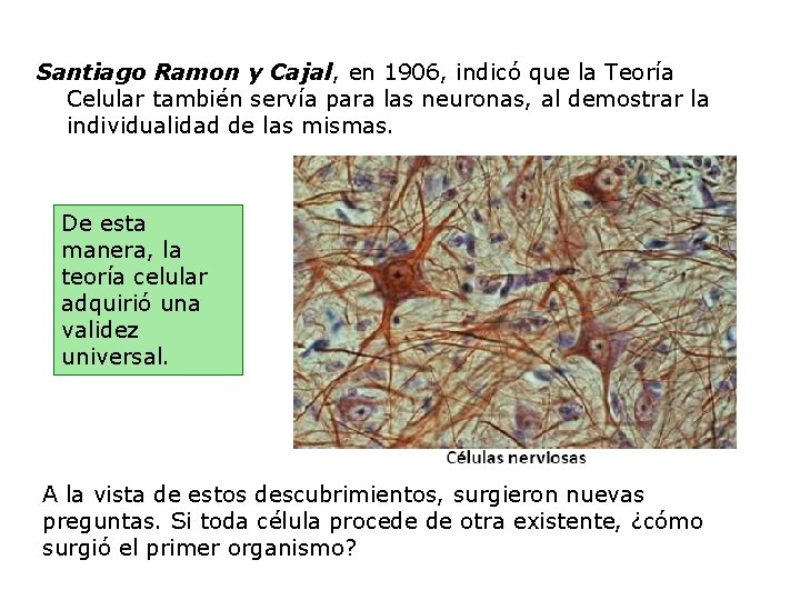 Santiago Ramon y Cajal, en 1906, indicó que la Teoría Celular también servía para