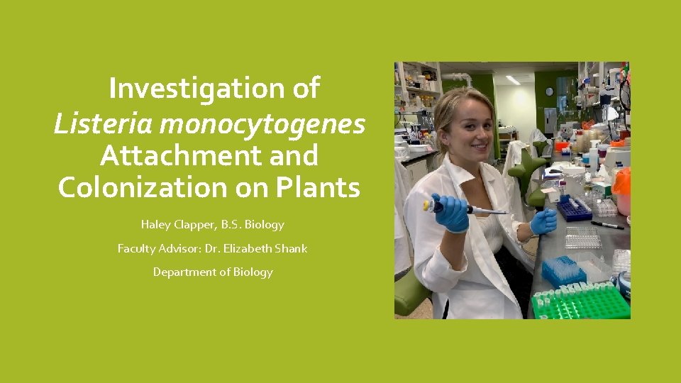 Investigation of Listeria monocytogenes Attachment and Colonization on Plants Haley Clapper, B. S. Biology