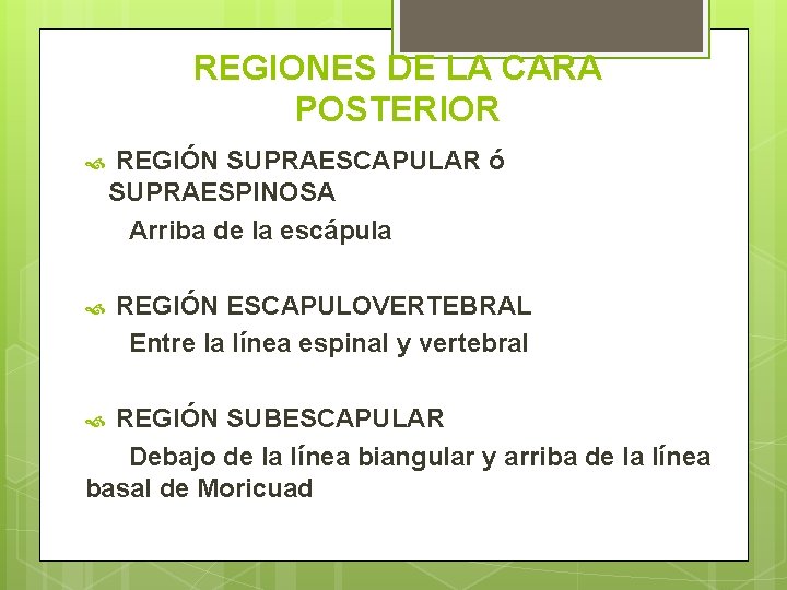 REGIONES DE LA CARA POSTERIOR REGIÓN SUPRAESCAPULAR ó SUPRAESPINOSA Arriba de la escápula REGIÓN