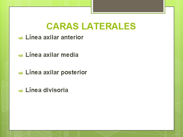 CARAS LATERALES Línea axilar anterior Línea axilar media Línea axilar posterior Línea divisoria 