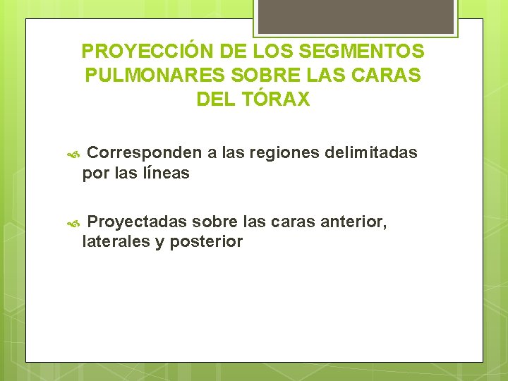 PROYECCIÓN DE LOS SEGMENTOS PULMONARES SOBRE LAS CARAS DEL TÓRAX Corresponden a las regiones