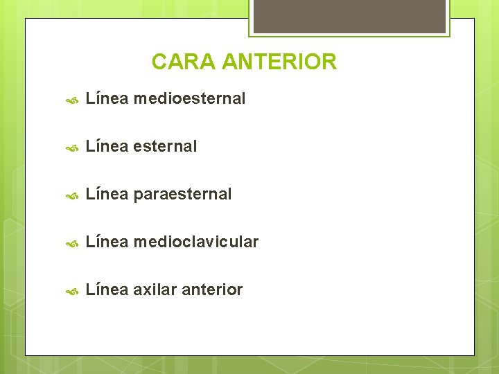 CARA ANTERIOR Línea medioesternal Línea paraesternal Línea medioclavicular Línea axilar anterior 