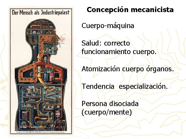 Concepción mecanicista Cuerpo-máquina Salud: correcto funcionamiento cuerpo. Atomización cuerpo órganos. Tendencia especialización. Persona disociada